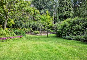 Optimiser l'expérience du jardin à Le Petit-Mercey